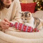 cadeau-noel-pour-chat