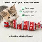 bonbon-a-la-menthe-chat