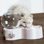 fontaine-detection-mouvement-chat