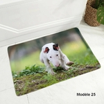 Tapis-de-sol-chien-Race-chien-paillasson-Tapis-d-interieur-chien-Tapis-imprime-chien-Tapis-pit-bull-terrier