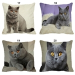 Coussin-chat-Housse-coussin-chat-chartreux-Coussin-chat-chartreux-Coussin-avec-photo-chartreux