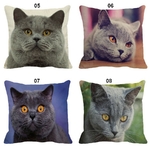 Coussin-chat-Housse-coussin-chat-chartreux-Coussin-chat-chartreux-Coussin-avec-photo-chartreux