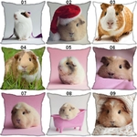 Coussin-rongeur-Housse-coussin-cochon-d-inde-Coussin-chon-Coussin-motif-cobaye-Coussin-cobaye