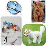 Casquette-chien-Casquette-pour-chien-Casquette-coloree-pour-chien-Chapeau-pour-chien