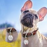 Collier-pour-chien-chat-chiot-en-acier-inoxydable-Gravure-gratuite-Collier-d-identification-Médaille-personnalisee-animaux-compagnie-Medaille-alu-aluminium-Medaille-ronde-strass