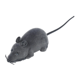 Jouet chat télécommandé Chasse infrarouge réaliste | Souris télécommandées interactives chat intérieur Actif Et Ludique Pour Chat De Petite À Moyenne Taille En Intérieur Balcon