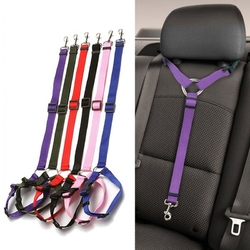 Laisse de sécurité pour chien - ceinture sécurité voiture - CANISLANA