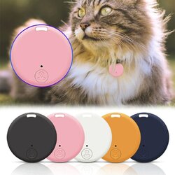 Tracker GPS Pour Chien & Objets - Médaille Anti-Perte, Alerte Par Application | Localisateur Léger