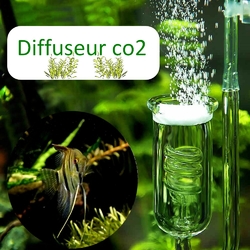 Diffuseurs CO2 Pour Aquarium > Diffuseur + Anti Retour De Co2 En Verre Bz Gd 24 Diffuseur Co2 Pour Aquarium