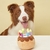 Anniversaire-chien-Anniversaire-chat-Gateau-anniversaire-chien-Gateau-anniversaire-chat-Cadeau-anniversaire-chien