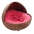 Nichoir-noix-coco-Nid-noix-coco-Abri-coco-cage-oiseaux-Nid-4-saisons-cage-oiseaux