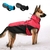 Manteau-pour-grand-chien-Vetement-grande-taille-pour-chien-Veste-hiver-grand-chien