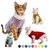 Pull-laine-chic-pour-chat-Pull-fausse-fourrure-pour-chat-Pull-tendance-hiver-chats