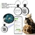 medaille-connectee-chien-chat