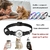 Collier-connecte-chien-chat