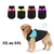 impermeable-chien-coupe-vent-pluie