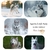 tapis-de-sol-husky-interieur
