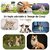 tapis-de-sol-corgi-interieur