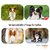 tapis-de-sol-papillon-interieur