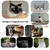 tapis-de-sol-imprime-chat-interieur