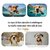 tapis-salle-de-bain-motif-chien