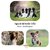 tapis-sol-border-collie-antiderapant