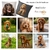 housse-coussin-cocker