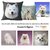 housse-coussin-chien-blanc