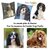 housse-coussin-cavalier-king-charles
