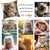 housse-coussin-chat