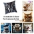 housse-coussin-chats