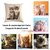 housse-coussin-chaton