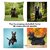 housse-coussin-terrier-ecossais