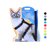 ensemble-harnais-laisse-chat