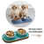 plateau-repas-chat-chien-inox