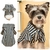 liquette-pyjama-raye-chien-chat