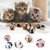 balles-leopard-chat
