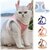 harnais-fourrure-chien-chat