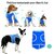 veste-rafraichissante-chien-chat