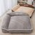 canape-lit-hiver-chien-chat