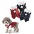 veston-luxe-chien-chat