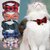 collier-noeud-papillon-chien-chat