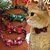 collier-noeud-clochette-chien-chat