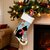 botte-de-noel-chat