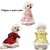 robe-en-tweed-elegante-chien