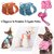 harnais-cuir-suede-noeud-papillon-strass
