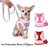 harnais-festif-avec-laisse-chien-chat
