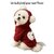 manteau-noel-chien-chat