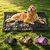 tapis-hiver-pliable-chien-chat