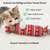 bonbon-a-la-menthe-chat